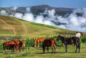 تالش کجاست؟
