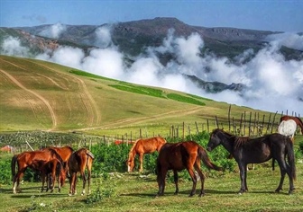 تالش کجاست؟