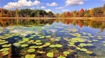 بهترین زمان سفر به انزلی و نکات آب و هوایی برای اجاره ویلا