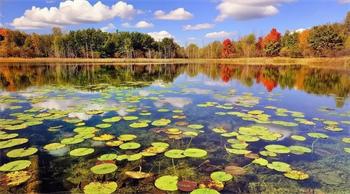 بهترین زمان سفر به انزلی و نکات آب و هوایی برای اجاره ویلا