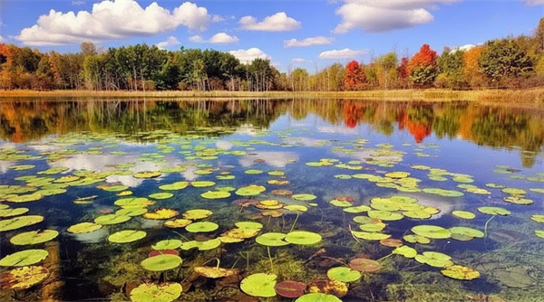 بهترین زمان سفر به انزلی و نکات آب و هوایی برای اجاره ویلا