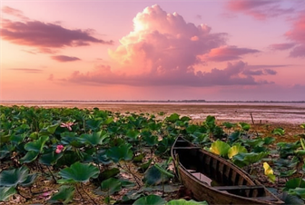 راهنمای حمل و نقل در انزلی: از تاکسی تا قایق سواری