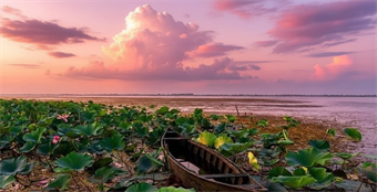 راهنمای حمل و نقل در انزلی: از تاکسی تا قایق سواری