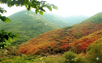 گرگان کجاست؟ سفری به قلب طبیعت و تاریخ شمال ایران