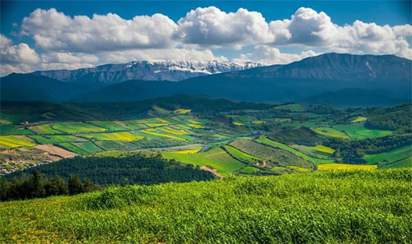 نکات طلایی برای اجاره ویلا در گرگان: چگونه کلاهبرداری را تشخیص دهیم؟