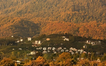 بهترین زمان سفر به نشتارود: از بهار تا زمستان